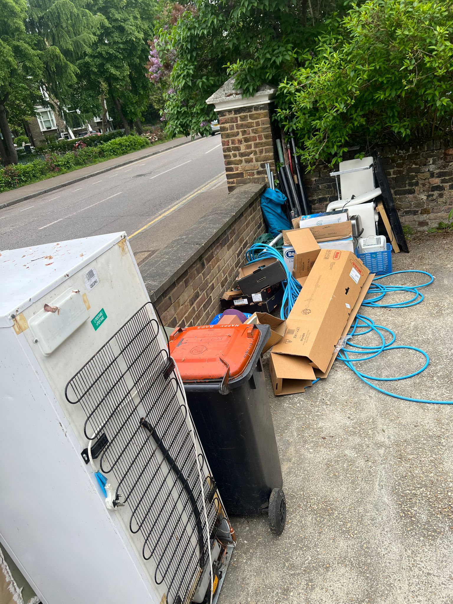 WhatsApp Image 2023-05-24 at 3.30.55 PM